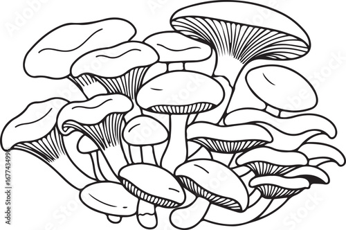 Cluster of various mushrooms with detailed gills and stems fungi forest