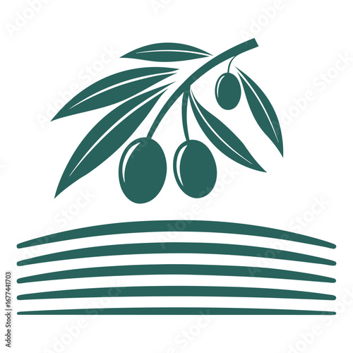 Dark green olive branch with three olives and horizontal lines fruit leaf