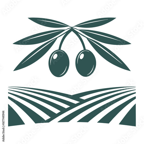 Dark green olive fruits on branches above stylized green fields leaf leaves