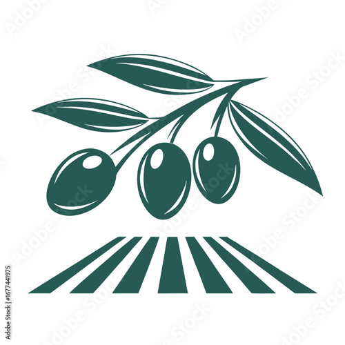 Green olive branch with fruit and stylized field leaf