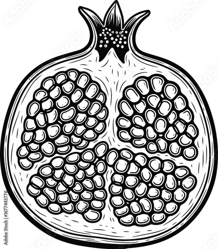 Illustration of a pomegranate cut in half, showcasing its juicy seeds