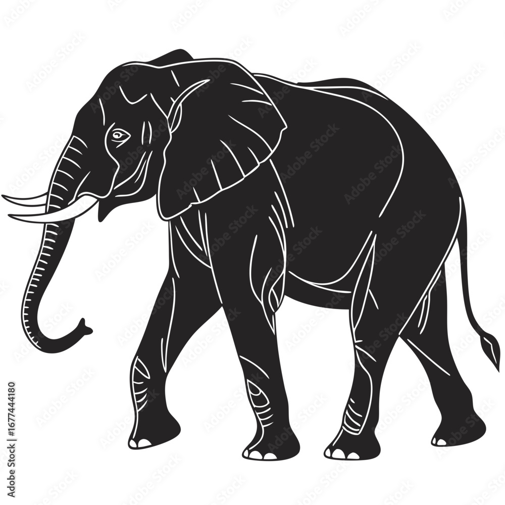 Obraz premium elephant isolated on white