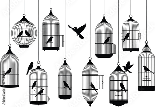 Collection of ornate vintage birdcages with silhouette birds hanging against a white background