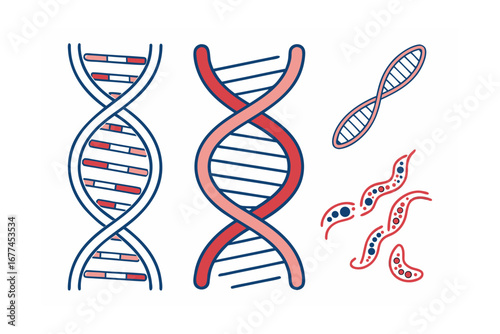 dna strand on white background vector icon design