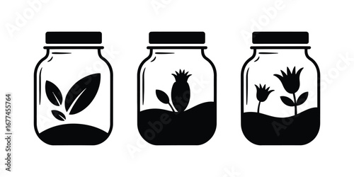Three Mason Jars:  Simple Black and White Botanical Illustrations of Leaves, Bud, and Flowers.