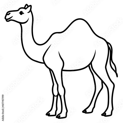 Minimal Camel Line Illustration