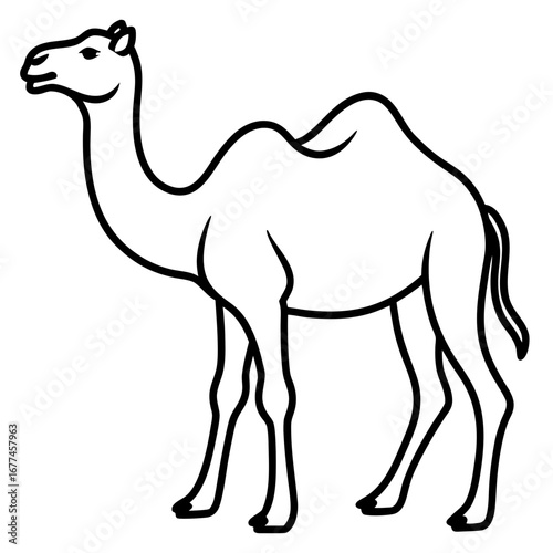 Minimal Camel Line Illustration