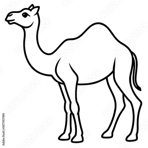 Minimal Camel Line Illustration
