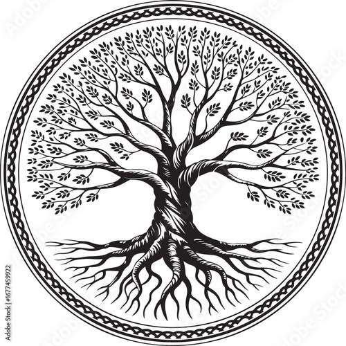 A highly detailed vector illustration of a twisted Tree of Life, with intricate roots and branches inside a Celtic knot border