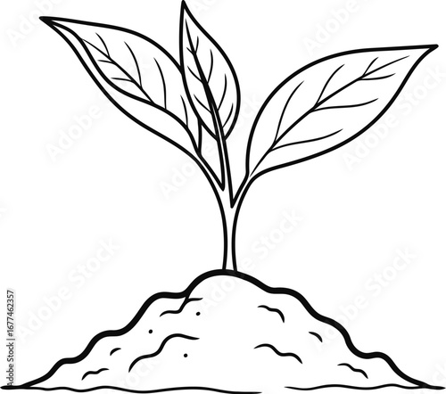 Vector art of a young plant seedling sprouting from the soil, symbolizing growth and new beginnings