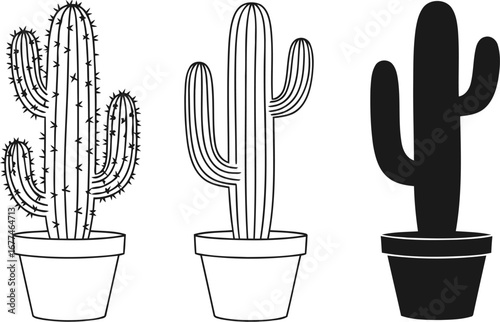 Illustration of three different cactus plants in pots