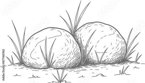 Vector art of two stones surrounded by grass in a natural outdoor setting