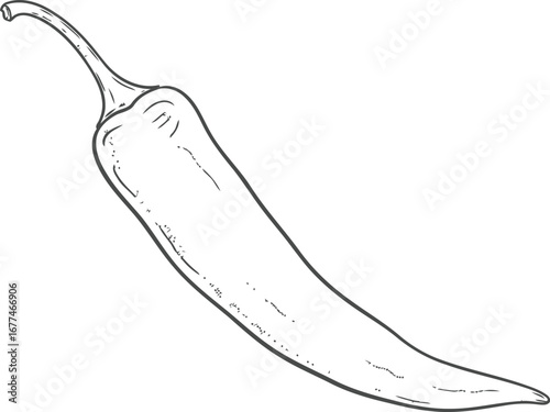 Illustration of a chili pepper, a spicy and flavorful ingredient