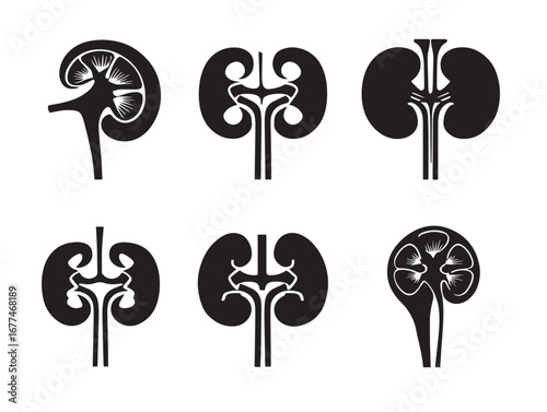 Detailed Nephritis Kidneys Collection Icon in Medical Silhouette Vector Artwork