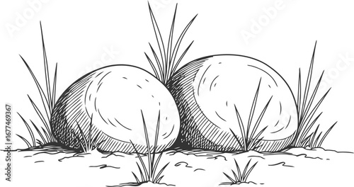 Vector art of two smooth stones surrounded by grass, creating a natural and zenlike composition