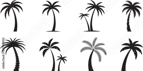 Palm Tree Silhouette Vector Set, Tropical and Semi-Tropical Forest, Exotic Beach and Jungle Landscape, Nature, Foliage and Coconut Trees Illustration, Isolated on White Background