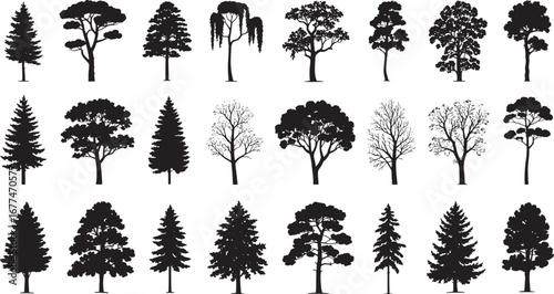 Spruce and Pine Tree Silhouette Collection, Coniferous Forest Vector Illustration, Evergreen Woods Isolated on White Background