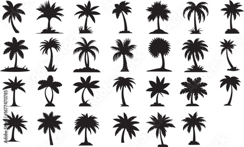 Palm Tree Silhouette Vector Set, Tropical and Semi-Tropical Forest, Exotic Beach and Jungle Landscape, Nature, Foliage and Coconut Trees Illustration, Isolated on White Background