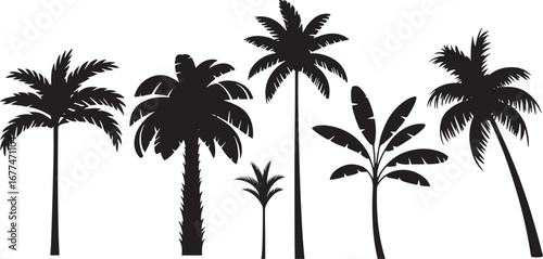 Palm Tree Silhouette Vector Set, Tropical and Semi-Tropical Forest, Exotic Beach and Jungle Landscape, Nature, Foliage and Coconut Trees Illustration, Isolated on White Background