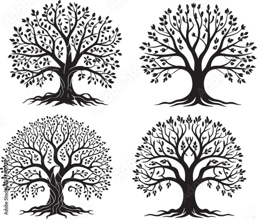 Olive tree silhouette icon isolated on white background.