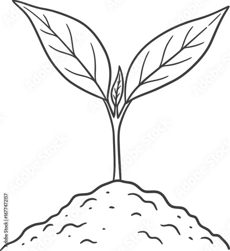 Vector art of a tiny seedling emerging from the soil, showcasing new life and potential