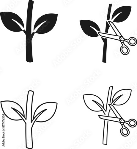 Illustration of plant growth stages with pruning scissors