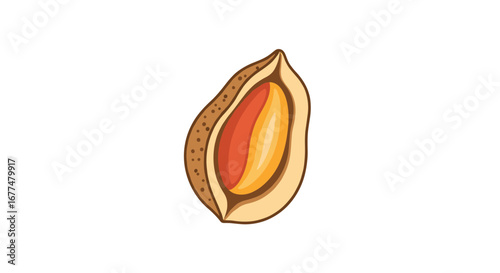 Anatomy of a textured nut shell revealing its delicious inner kernel detail