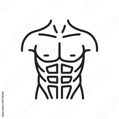 A minimalist line drawing of a muscular torso showing abdominal muscles and upper chest definition