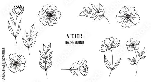 Handdrawn floral elements and botanical illustrations, , featuring delicate flowers and leaves in a minimalist line art style, perfect for design and decoration