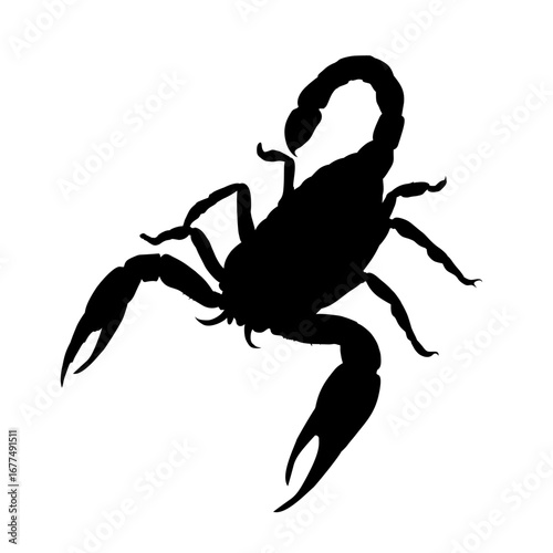 scorpion silhouette - - vector illustration 