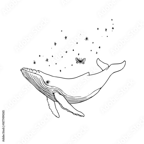 Whale illustration with butterfly and stars drawing for ocean animal lovers and marine life enthusiasts art design