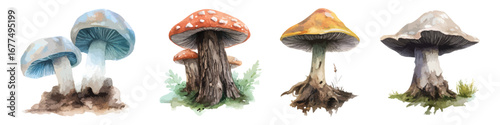 Mushroom fungal spore watercolor set isolated on transparent background