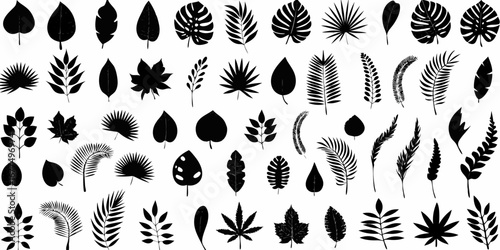 Collection of diverse tropical and palm leaves in silhouette on a white background
