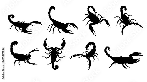 scorpion  silhouette set   -   vector illustration
