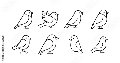 Birds flying line art icon bundle illustration