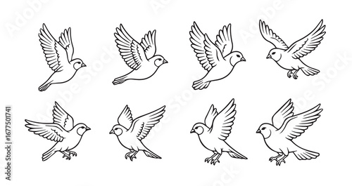 Birds flying line art icon bundle illustration