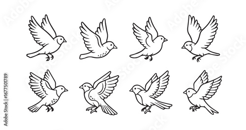 Birds flying line art icon bundle illustration