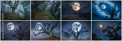 Spooky forest scenes with moon and bats halloween moonlight