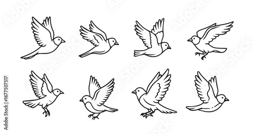 Birds flying line art icon bundle illustration