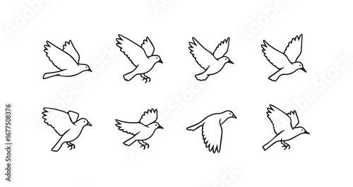 Birds flying line art icon bundle illustration