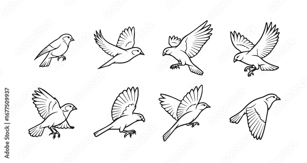 Obraz premium Birds flying line art icon bundle illustration