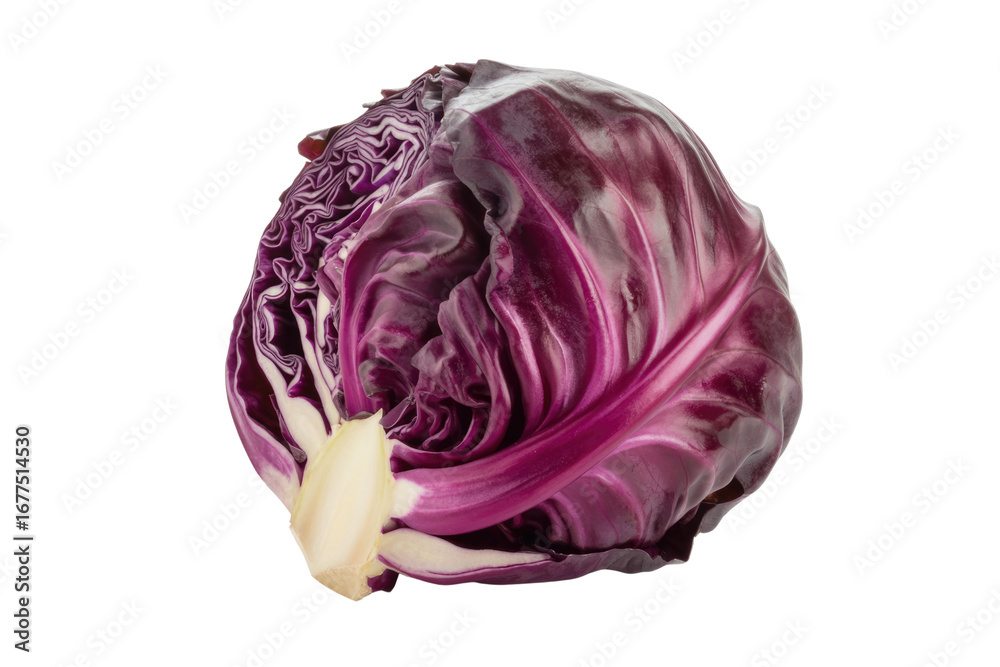 Obraz premium A vibrant red cabbage, half-opened, showcasing its intricate layers and rich purple hues against a transparent background. background removed