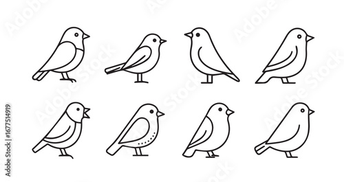 Birds flying line art icon bundle illustration