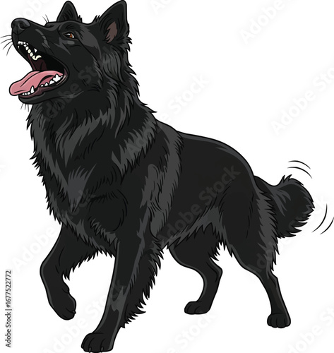 Belgian Sheepdog barking excited standing vector illustration