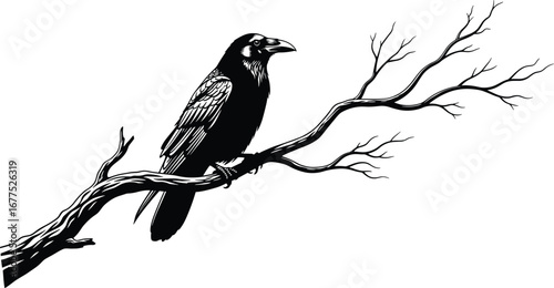 Black silhouette of raven perched on bare gnarled branch, dramatic vector design symbolizing mystery, solitude, and literary symbolism