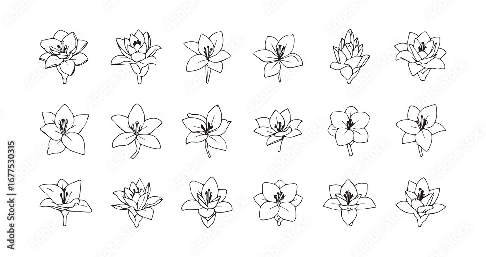 Fototapeta premium Bougainvillea line art icon bundle illustration