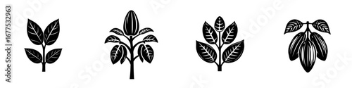 Minimalist black-and-white vector illustrations of cacao plants and their leaves in a simple silhouette style
