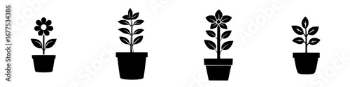Minimalist black-and-white vector illustration of various flower pots displaying different plant silhouettes