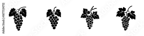 Vector illustration of minimalist black-and-white grape silhouettes arranged in a row