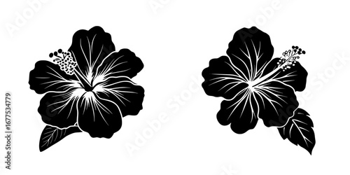 Black-and-white vector illustration of minimalist hibiscus flowers for modern design